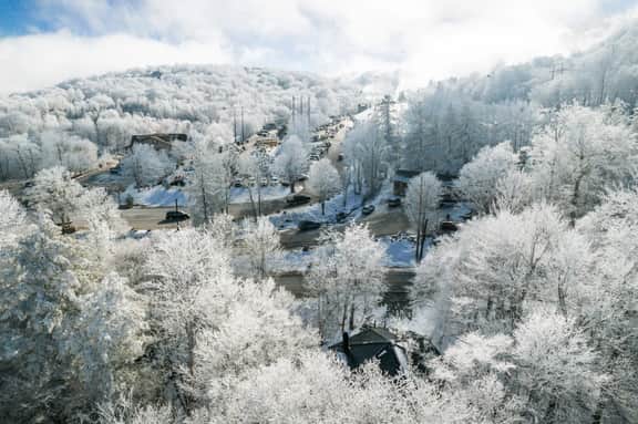 Little Green | AC, Fireplace, Walk to Beech Ski